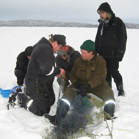 Kullasmarina