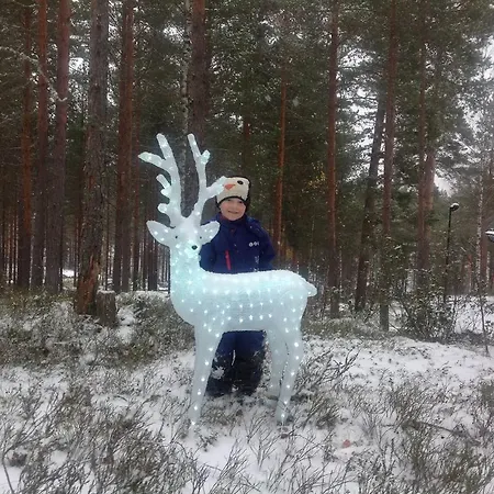 Kullasmarina * Padasjoki