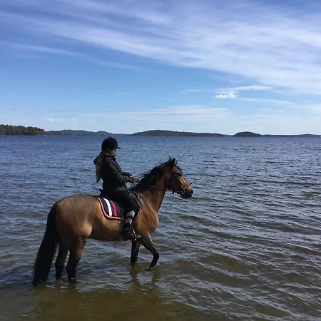 Kullasmarina Padasjoki