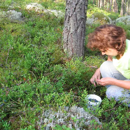 Kullasmarina Padasjoki