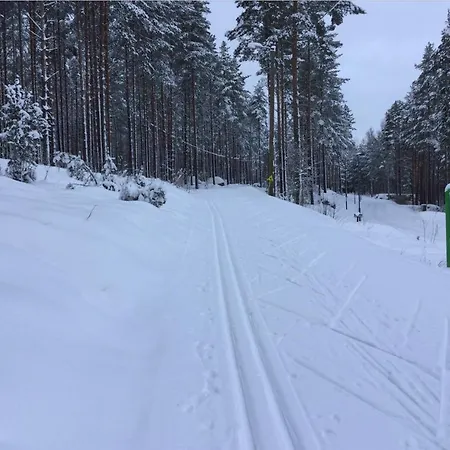 Kullasmarina Padasjoki