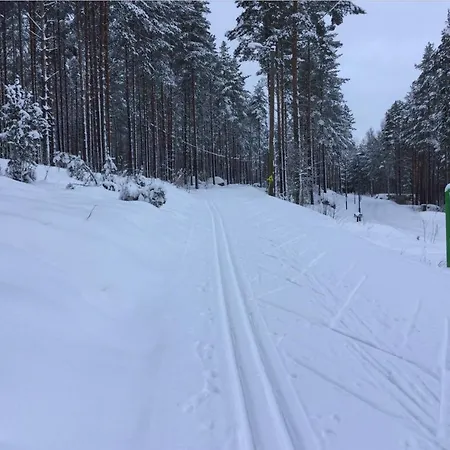 Kullasmarina Padasjoki