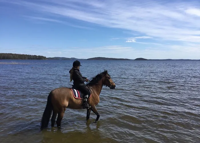 Kullasmarina Padasjoki