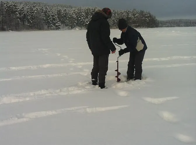 Kullasmarina Padasjoki