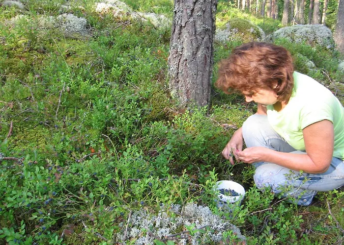 Kullasmarina Padasjoki