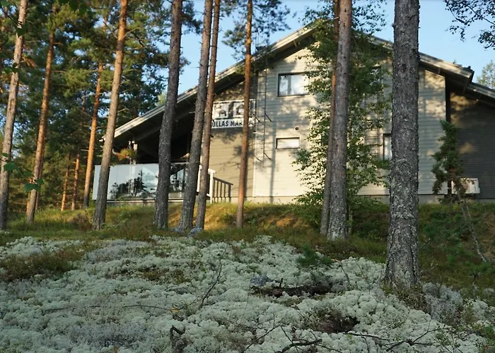 Kullasmarina * Padasjoki